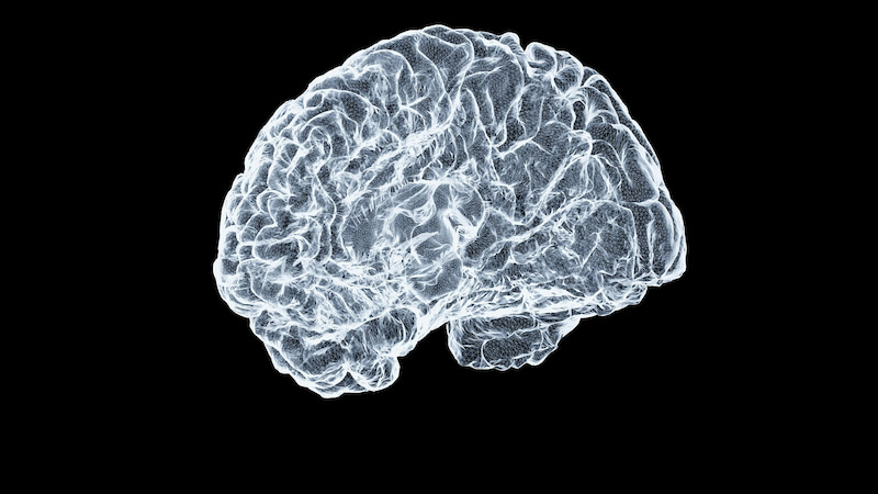 Brain scan imagery representing Neurology clinical research